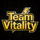 Team Vitality电子竞技俱乐部Logo